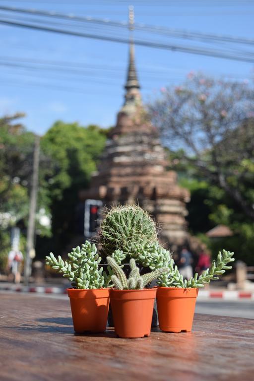 See You Soon, Chiang Mai Extérieur photo